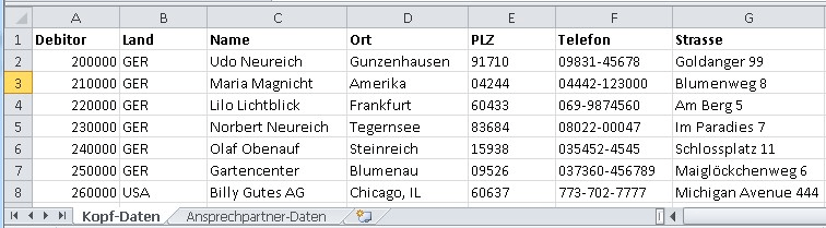 SAP Legacy System Migration Workbench (LSMW) - Debitor-Kopf