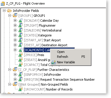 Schnelleinstieg in den SAP Query Designer mit Eclipse - InfoProvider-View